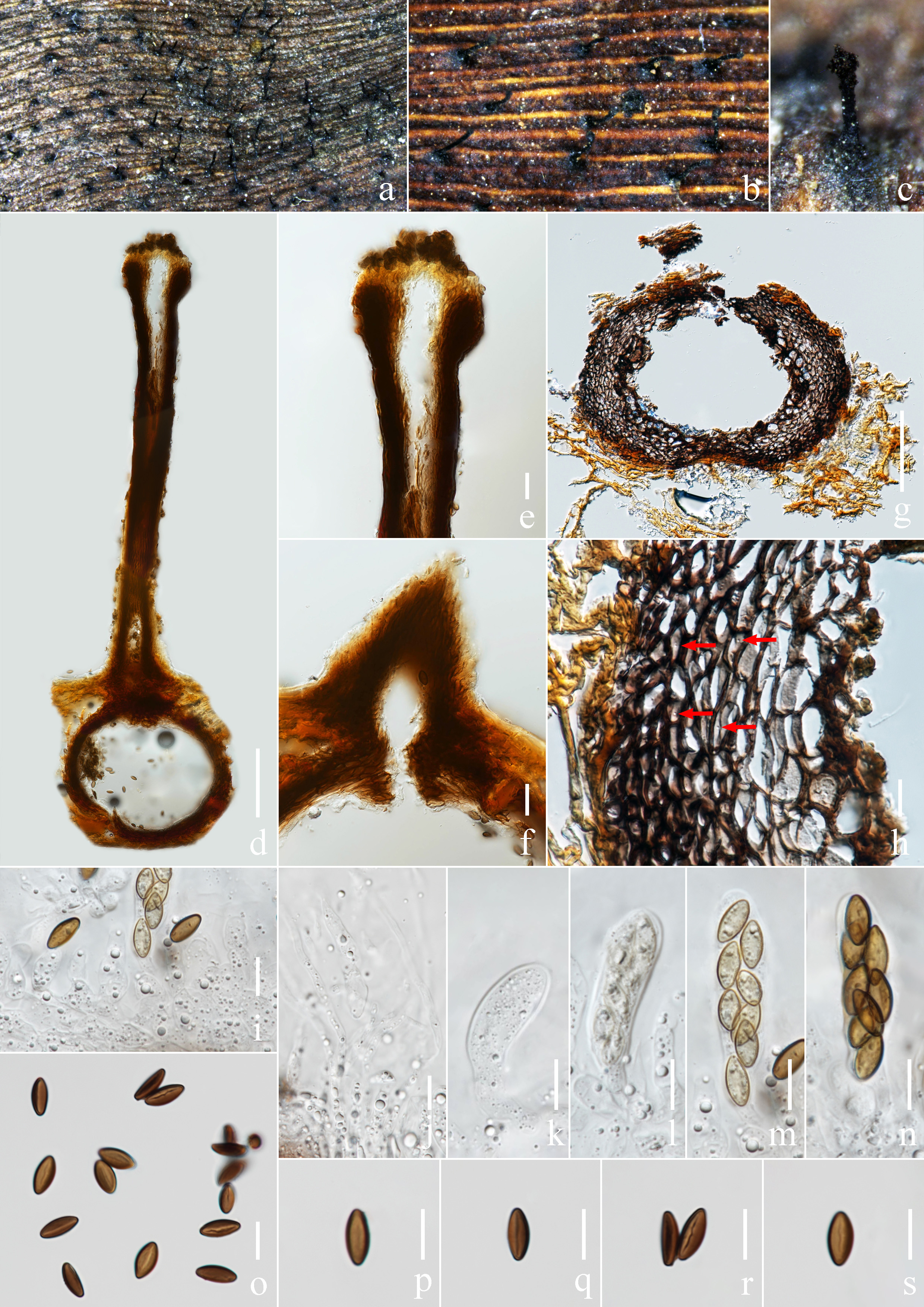 Figure 121